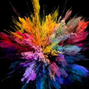 Meet your Posher, Deana